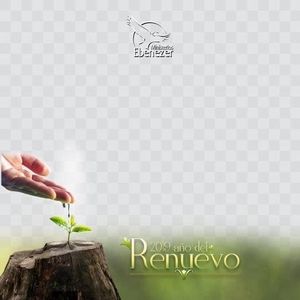 Meet your Posher, Elsa